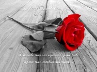 /album/enamorados/fotos-con-frases-romanticas-04-jpg/