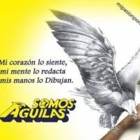 /album/%c2%a1sensacional%21/t-club-america-logo-y-escudo-6202179-jpeg/