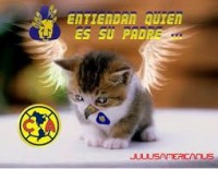 /album/humor/t-club-america-humor-americanista-6173786-jpeg/