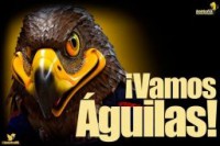 /album/campeon-/t-club-america-club-america-campeon-6317665-jpeg/
