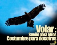 /album/campeon-2/t-club-america-club-america-campeon-6317672-jpeg1/