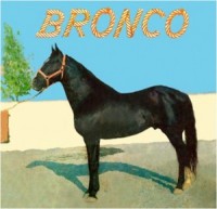 /album/discografia/broncodsico-1023x9921-300x290-jpg/
