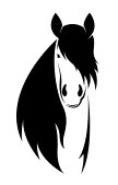 /album/indomable-8/a19372453-imagen-de-un-caballo-sobre-fondo-blanco-jpg/