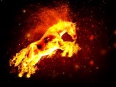 /album/indomable-8/a23034067-funcionamiento-hermoso-caballo-de-fuego-en-el-fondo-abstracto-jpg/